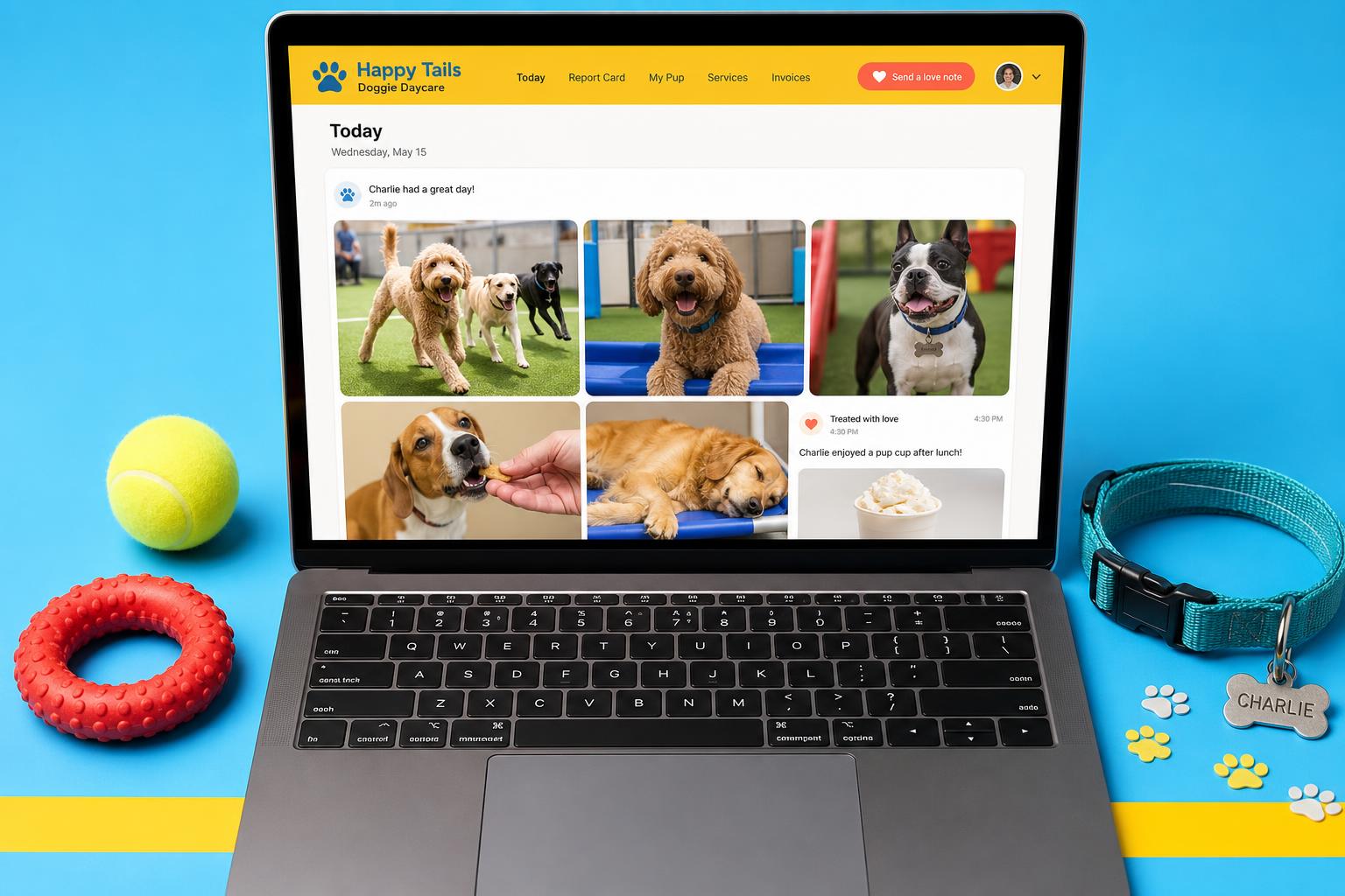 Check-in Feed